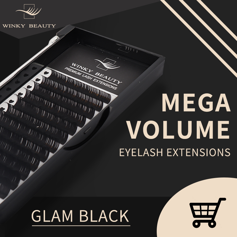 Eyelash Extension Logo - Winky Beauty Op maat uw logo