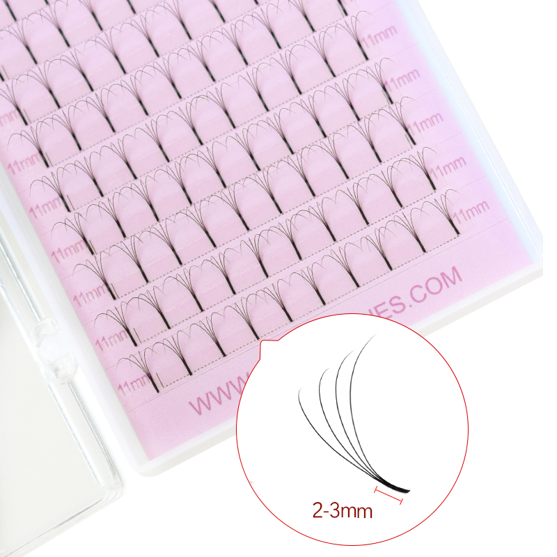 SONGLASHES Lange Wortel 2D tot - Eyelash Extension Logo recensie en prijs